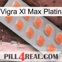 Vigra Xl Max Platinum 26